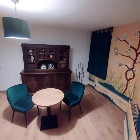 Zentrumsnah Hochwertig Apartment *
